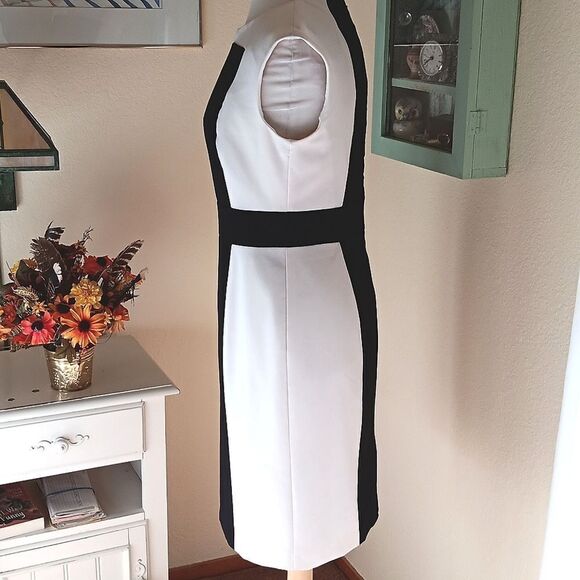 Calvin Klein Colorblock Dress - Picture 4 of 10